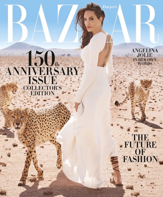 Анжелина Жоли Harper’s Bazaar сэтгүүлийн 150 дах ойн дугаарыг чимж, хүн төрөлхтөнд хандсан захидал бичлээ