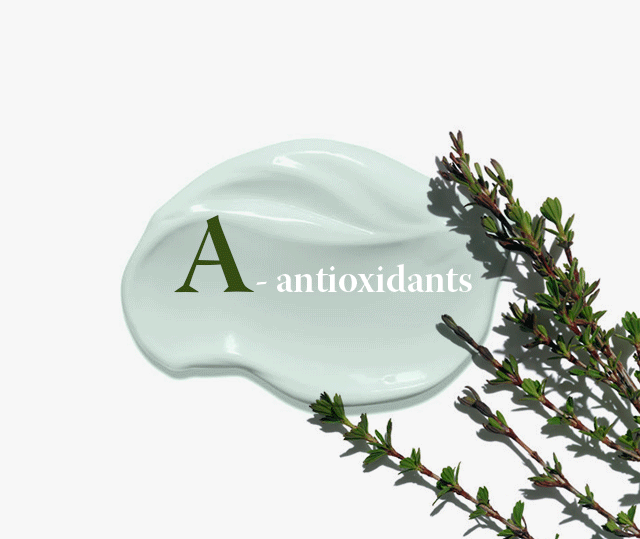 Buro 24/7-гийн гоо сайхны толь бичиг: A-antioxidants