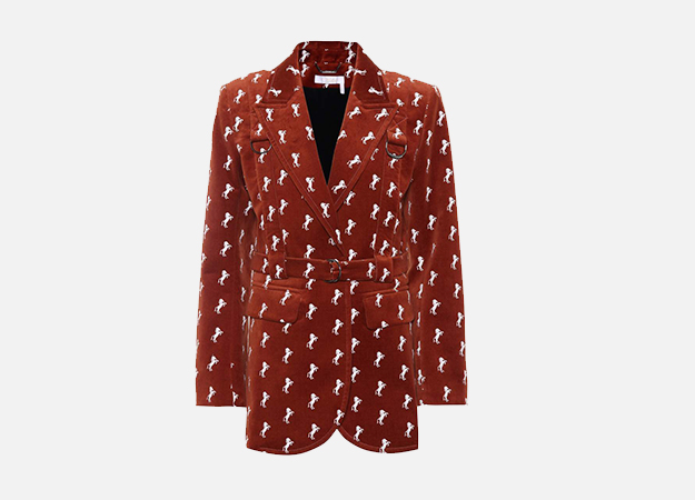 Chloé<p><a id=\"\" style=\"\" href=\"https://www.mytheresa.com/eu_en/chloe-embroidered-velvet-blazer-976443.html?catref=category\" target=\"_blank\">mytheresa.com</a></p>